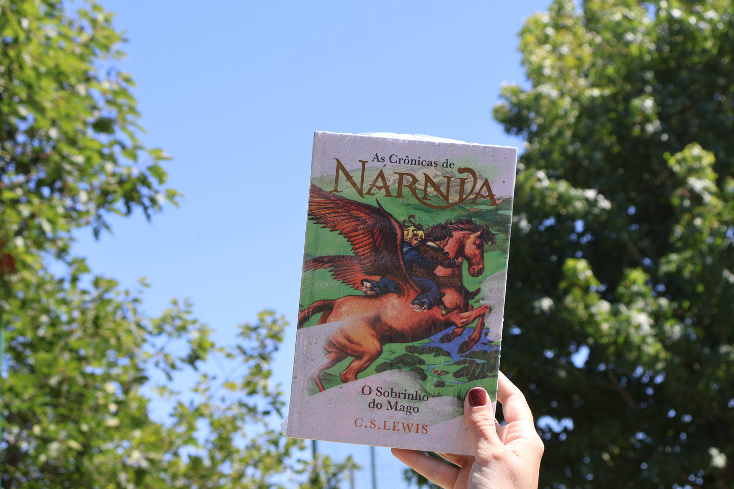 As Crônicas de Nárnia - O Sobrinho do Mago | C. S. Lewis