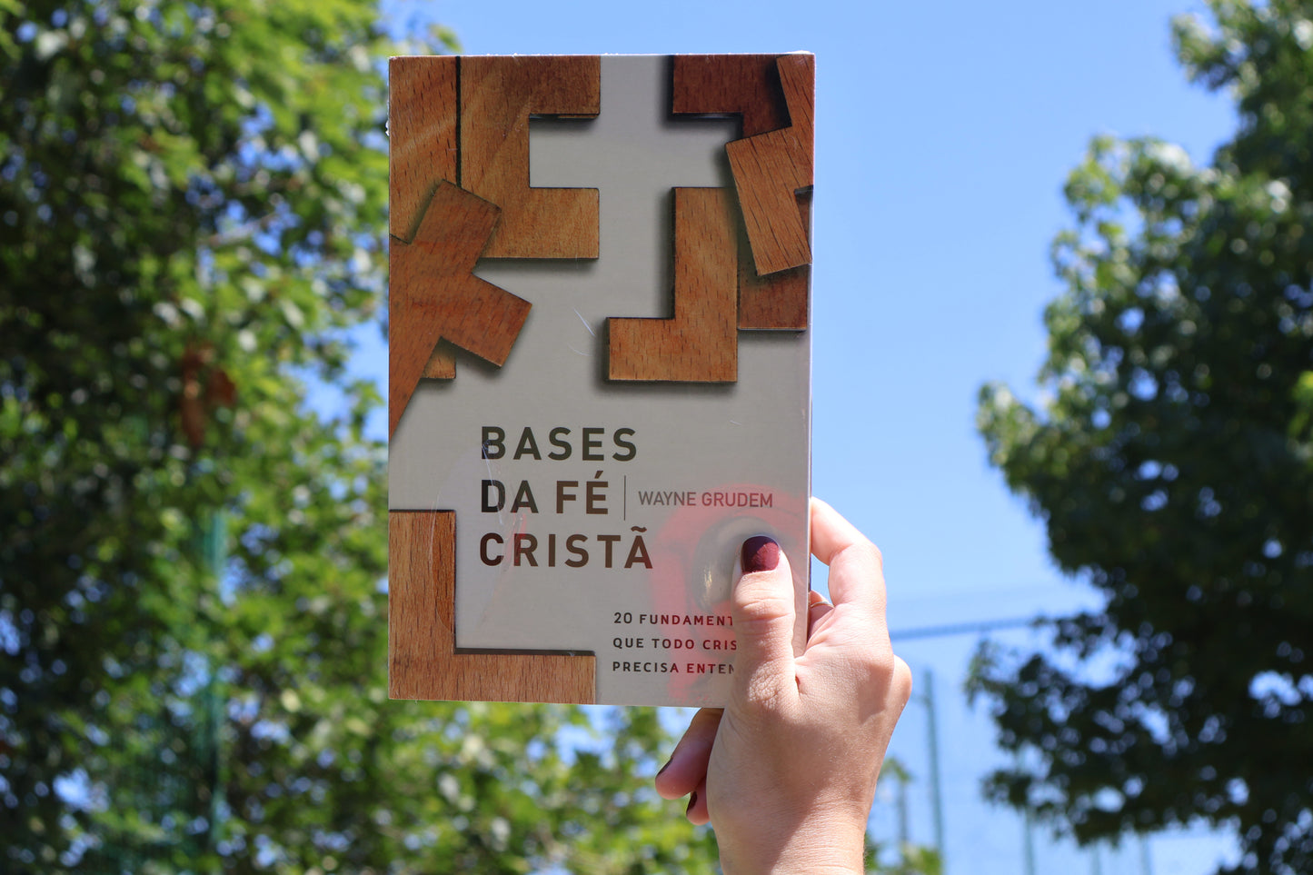 Bases da Fé Cristã - 20 fundamentos que todo cristão tem que entender | Wayne Grudem