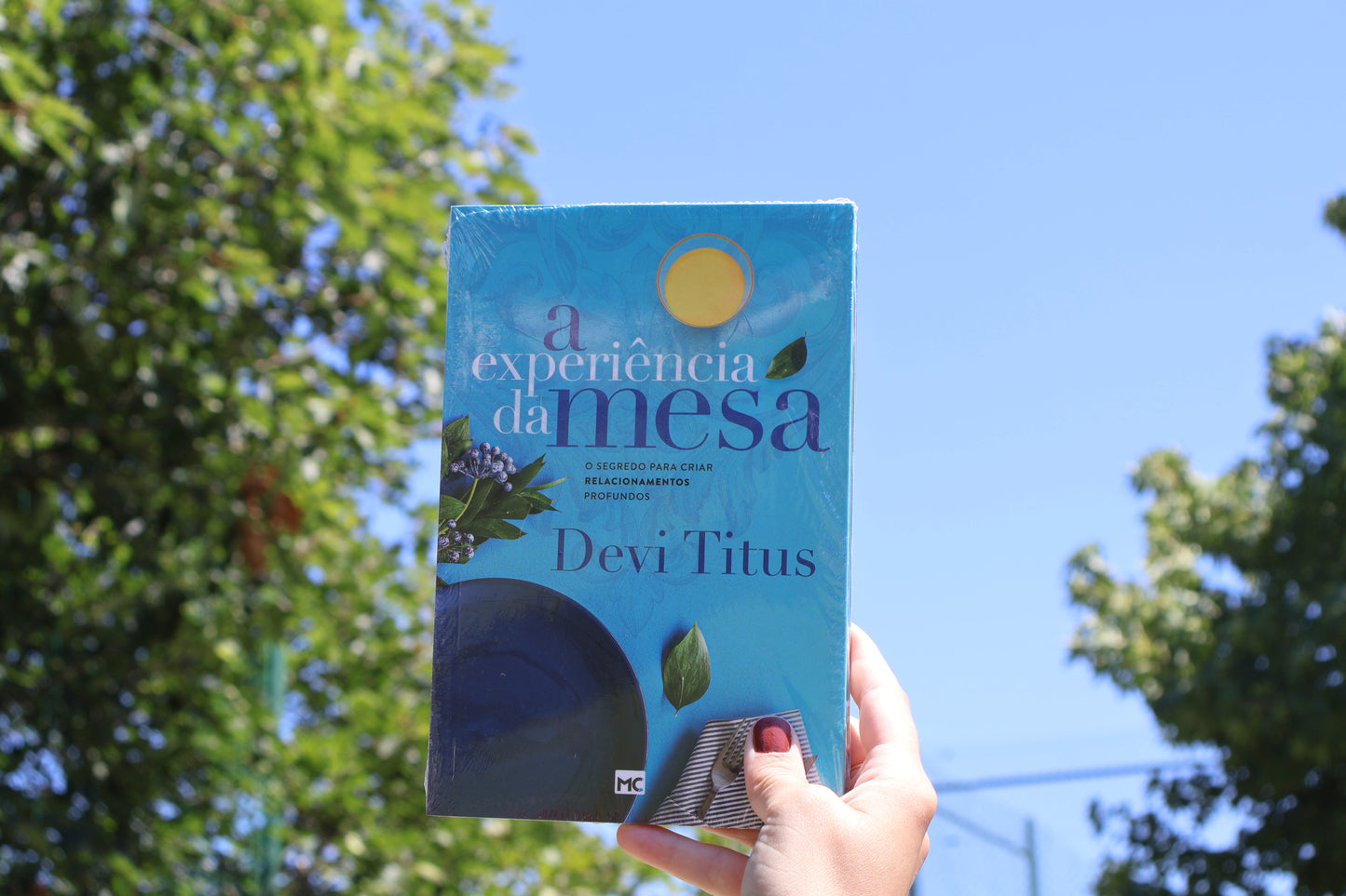 A experiência da mesa- O segredo para criar relacionamentos profundos | Devi Titus