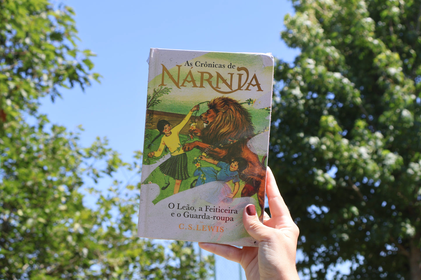 As Crônicas de Nárnia - O Leão, A Feiticeira e o Guarda-Roupa | C.S Lewis