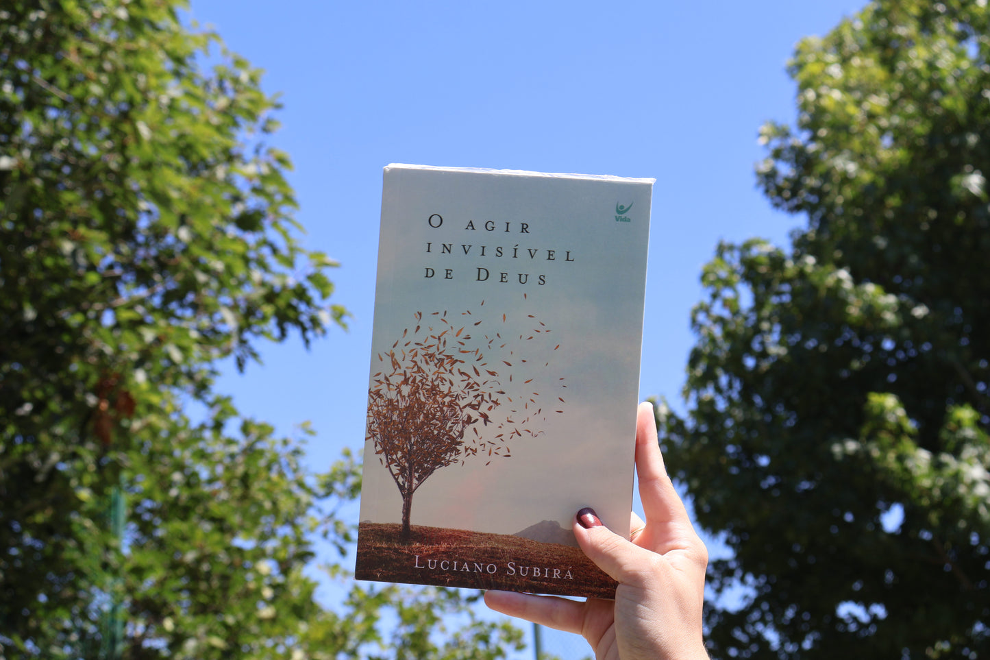 O Agir Invisível de Deus | Luciano Subirá