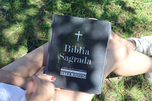 Biblia Sagrada Jumbo