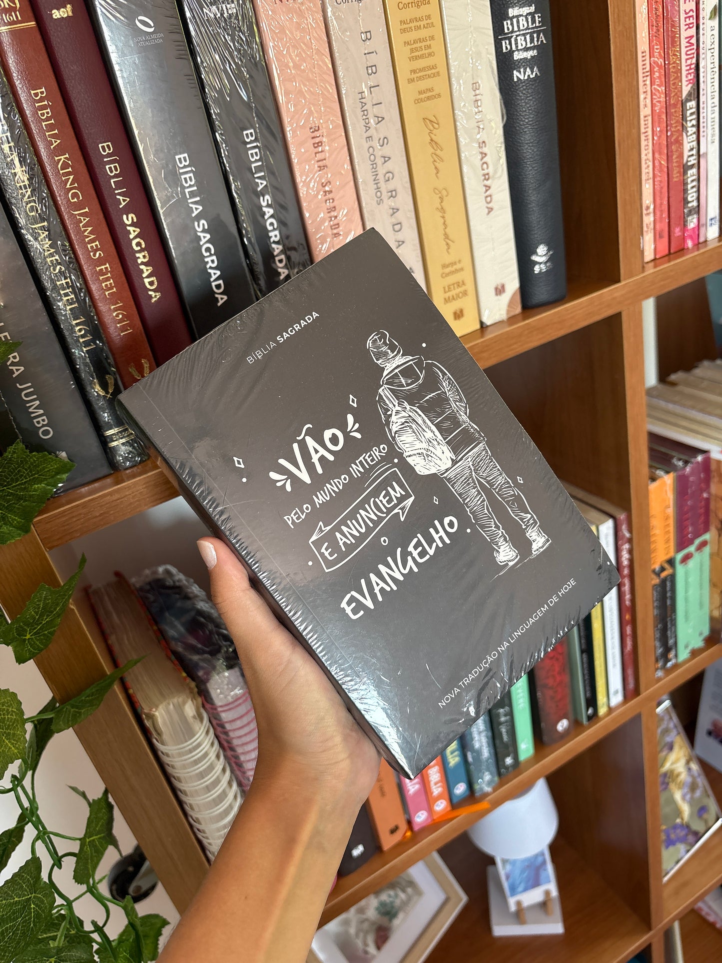 Bíblia Sagrada Vão Pelo Mundo e Anunciem o Evangelho