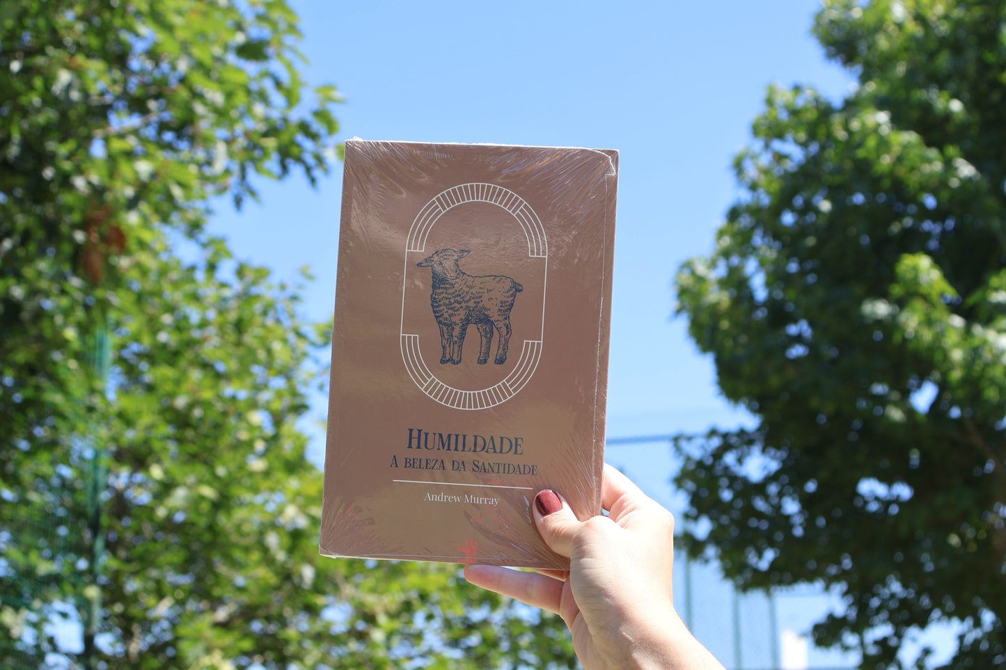 Humildade - A Beleza da Santidade | Andrew Murray