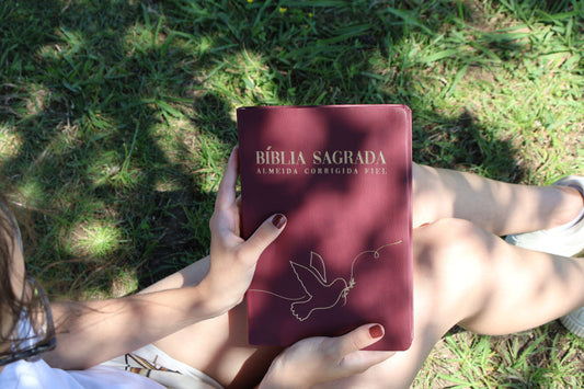 Biblia Sagrada Paz